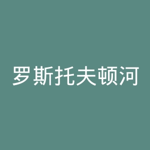 罗斯托夫顿河国立技术大学官网