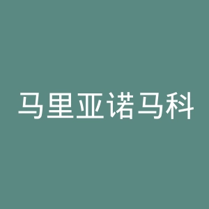 马里亚诺马科斯国立大学官网