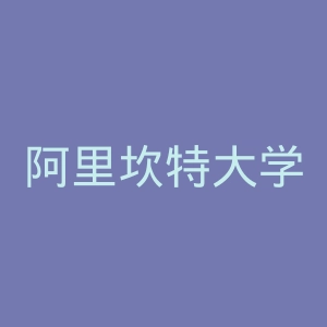 阿里坎特大学官网
