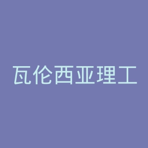 瓦伦西亚理工大学官网