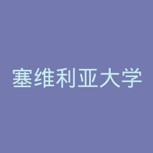 塞维利亚大学官网