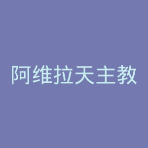阿维拉天主教大学官网