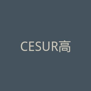 CESUR高等职业教育学院官网