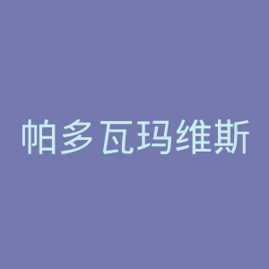 帕多瓦玛维斯语言学校官网