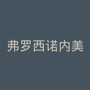 弗罗西诺内美术学院官网