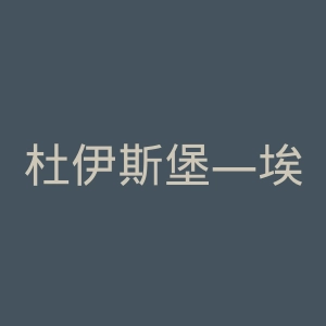 杜伊斯堡—埃森大学官网