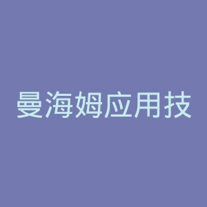 曼海姆应用技术大学官网