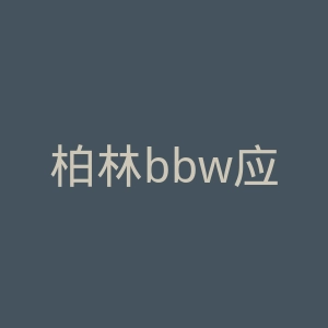 柏林bbw应用技术大学官网