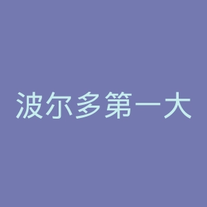 波尔多第一大学官网
