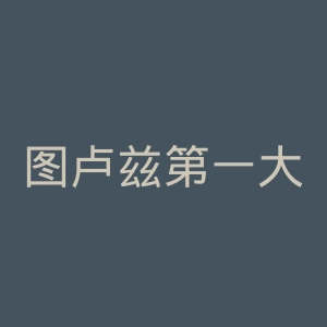 图卢兹第一大学官网