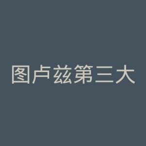 图卢兹第三大学官网