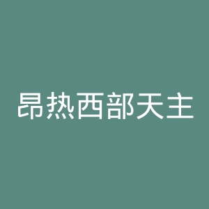 昂热西部天主教大学官网