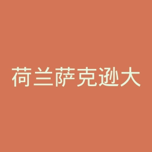 荷兰萨克逊大学官网