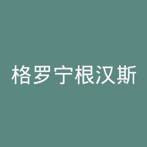格罗宁根汉斯大学官网