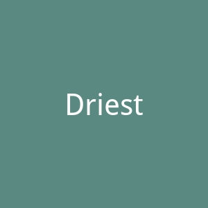 Driestar应用科技大学官网