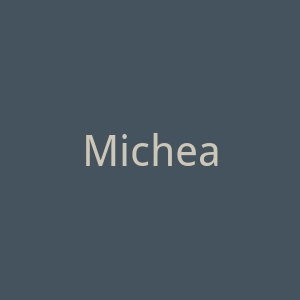 Micheal Angel官网