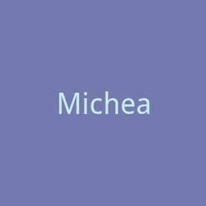 Micheal Van Der Ham官网