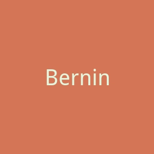Bernini官网
