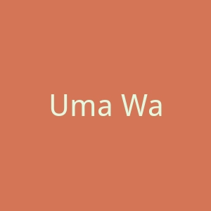 Uma Wang官网
