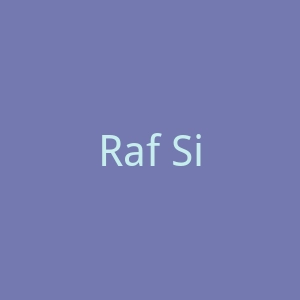 Raf Simons官网