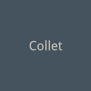 Collette Dinnigan官网