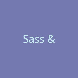 Sass & Bide官网