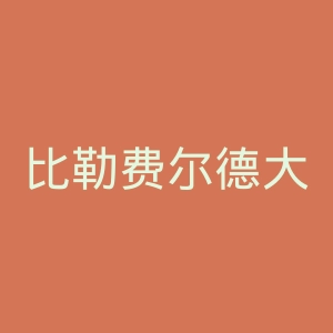 比勒费尔德大学官网