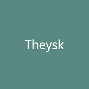 Theyskens’ Theory官网