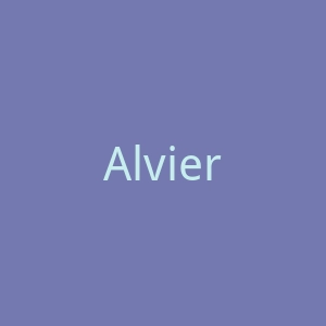 Alviero Martini官网