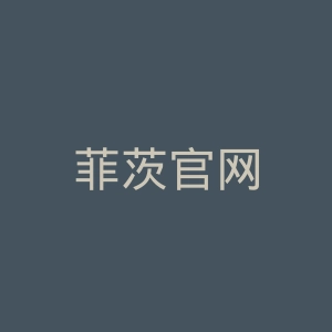 菲茨官网