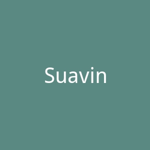 Suavinex官网