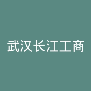 武汉长江工商学院官网