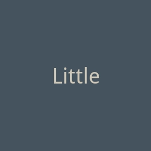 Little Freddie官网