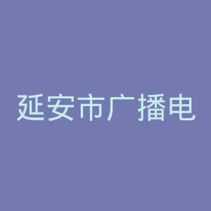 延安市广播电视台官网