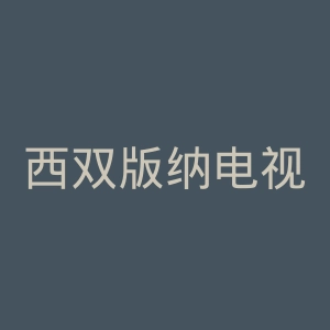 西双版纳电视台官网