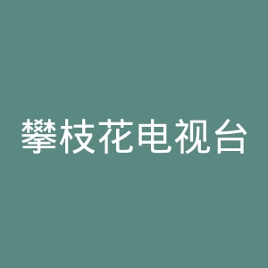 攀枝花电视台官网