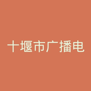 十堰市广播电视局官网
