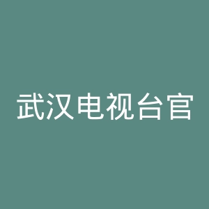 武汉电视台官网