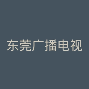 东莞广播电视台官网