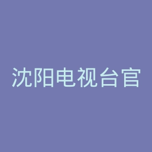 沈阳电视台官网