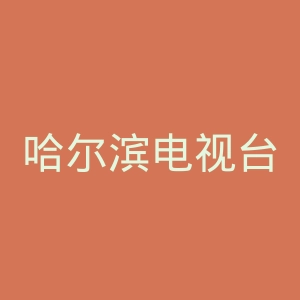 哈尔滨电视台官网