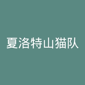 夏洛特山猫队官网