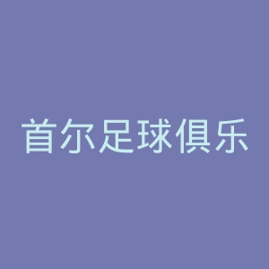 首尔足球俱乐部官网