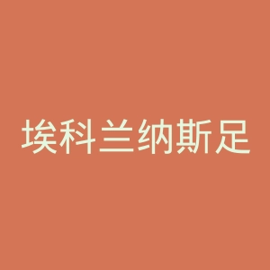 埃科兰纳斯足球俱乐部官网