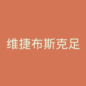 维捷布斯克足球俱乐部官网