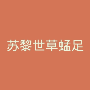 苏黎世草蜢足球俱乐部官网