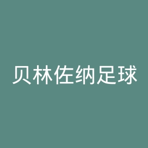 贝林佐纳足球俱乐部官网