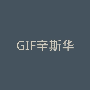 GIF辛斯华尔官网