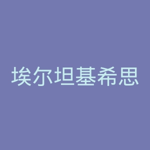 埃尔坦基希思利官网