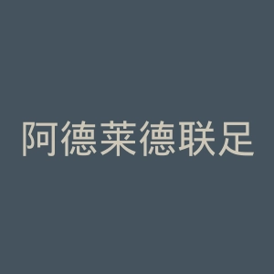 阿德莱德联足球俱乐部官网